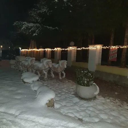 Elisabeth Pensjonat 3*